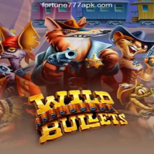 Exploring the Wild West Adventure with WildBullets